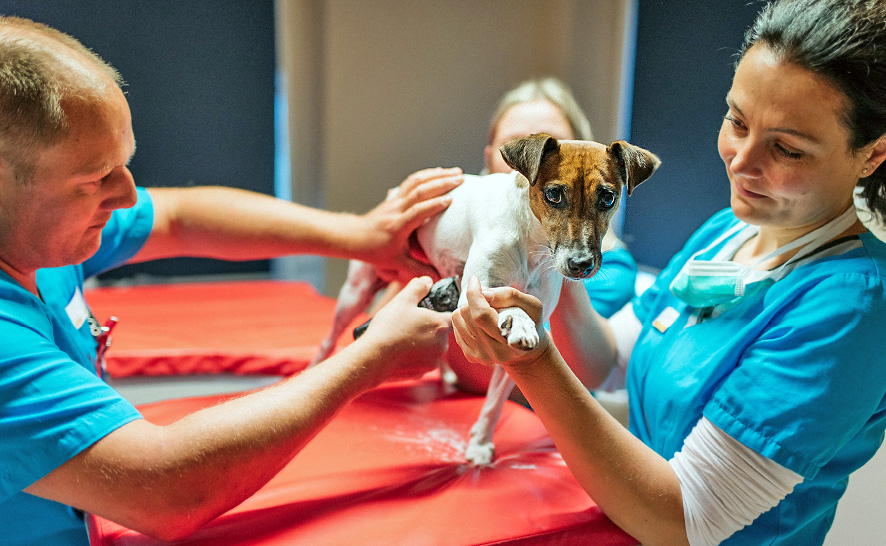 kontakt anfahrt dunkel2